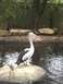 australia 098.jpg